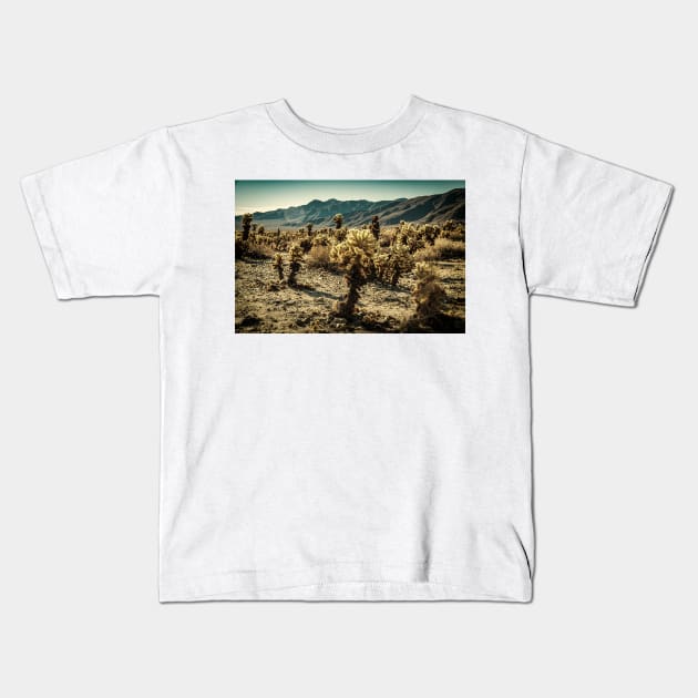 Jumping Cholla Cactus at Joshua Tree National Park Kids T-Shirt by Gestalt Imagery